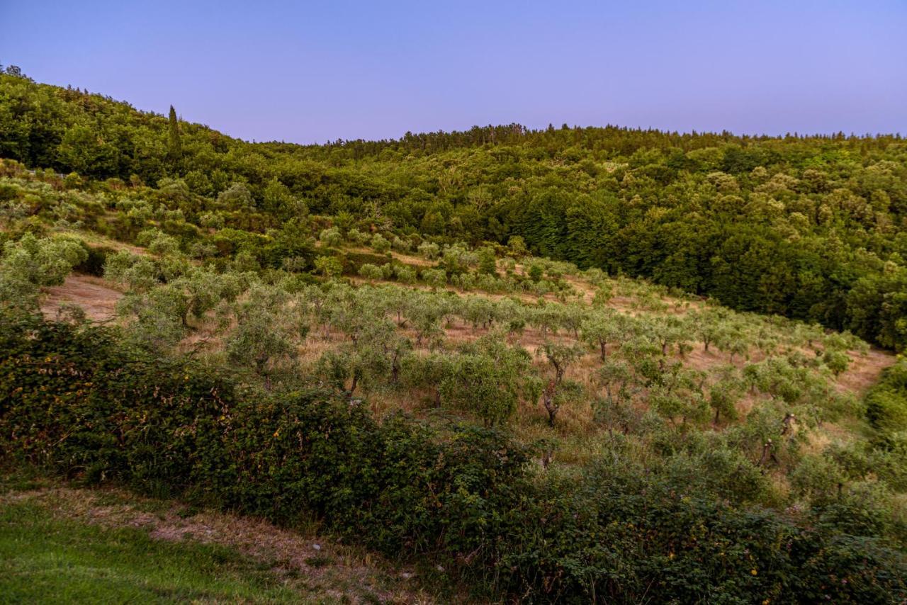 Agriturismo Casa Al Bosco Villa Castellina in Chianti Ngoại thất bức ảnh